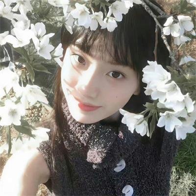 大宋少年志第二季
