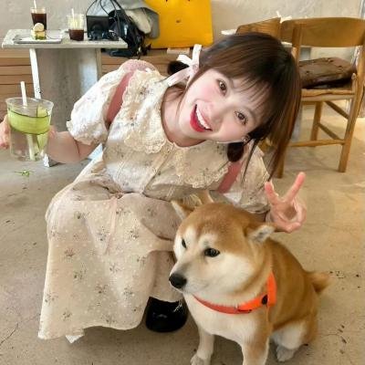 延禧攻略